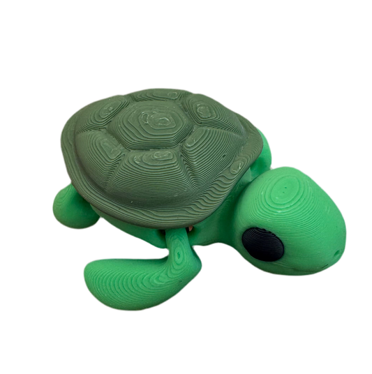 Turtle
