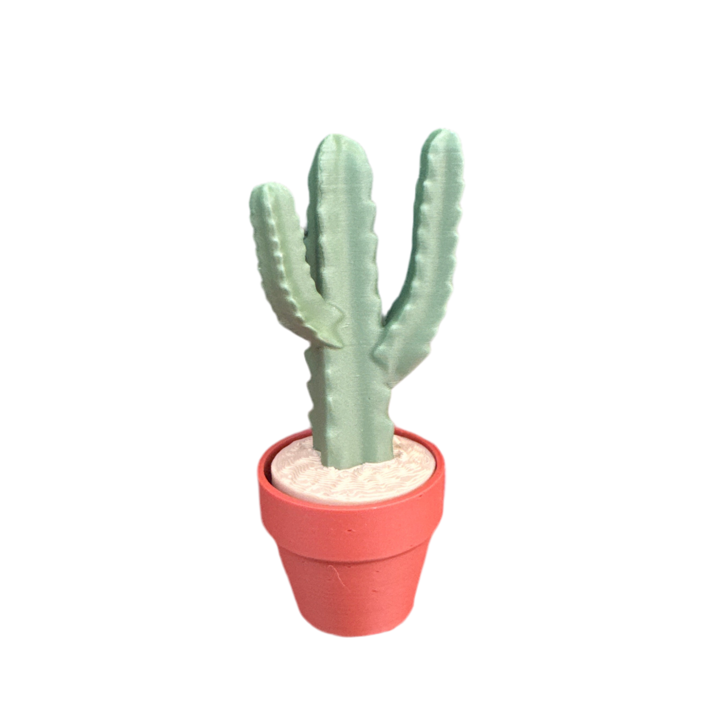 Columnar Cactus