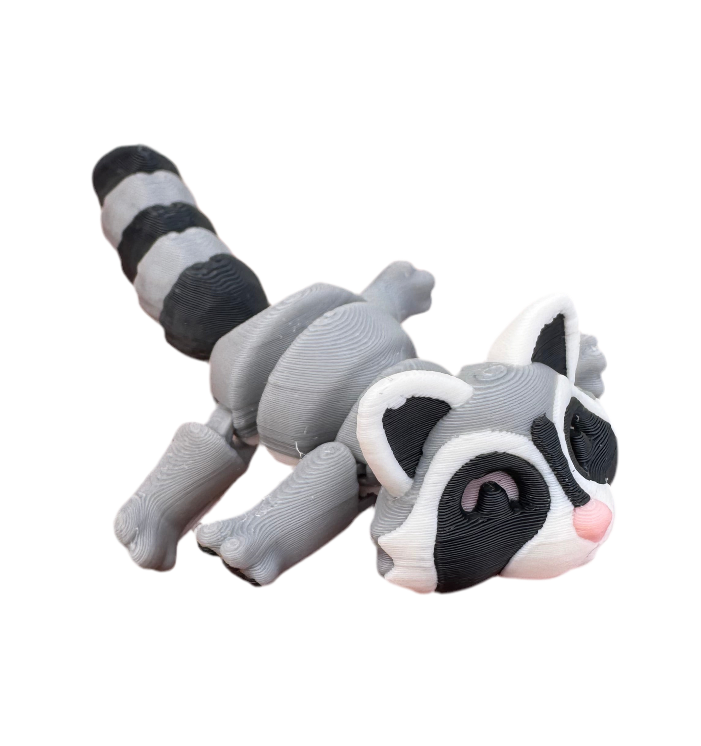 Raccoon
