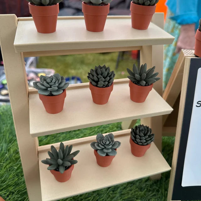 Succulent Spinners