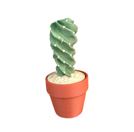 Spiral Cactus