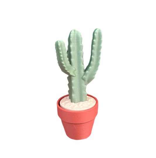 Columnar Cactus