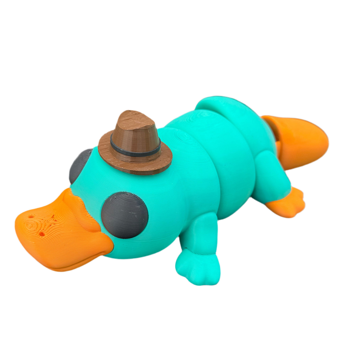 Large Platypus